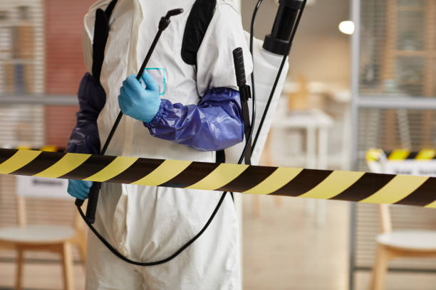 Professional Sewage Cleanup technician working in Crystal City, MO